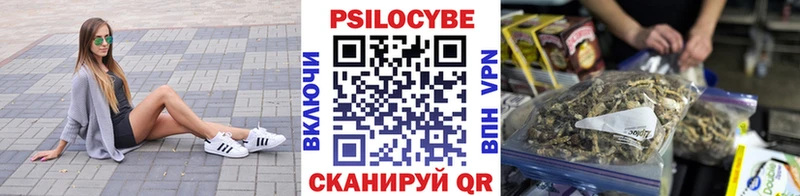 Галлюциногенные грибы Psilocybe даркнет сайт blacksprut зеркало это формула Малоархангельск